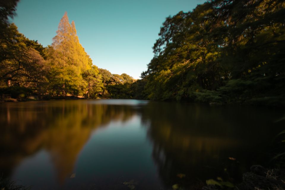 Audio Guide Tour: Deeper Experience of Shinjuku Sightseeing - Enhancing Sightseeing Experience