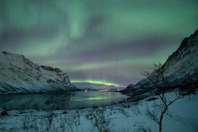 Auroras Hunt - Tour in Spanish, Northern Lights Chase in Spanish - Guide and Transportation