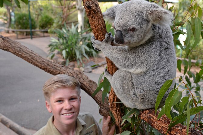 Australia Zoo Day Trip From Brisbane - Unique Animal Experiences