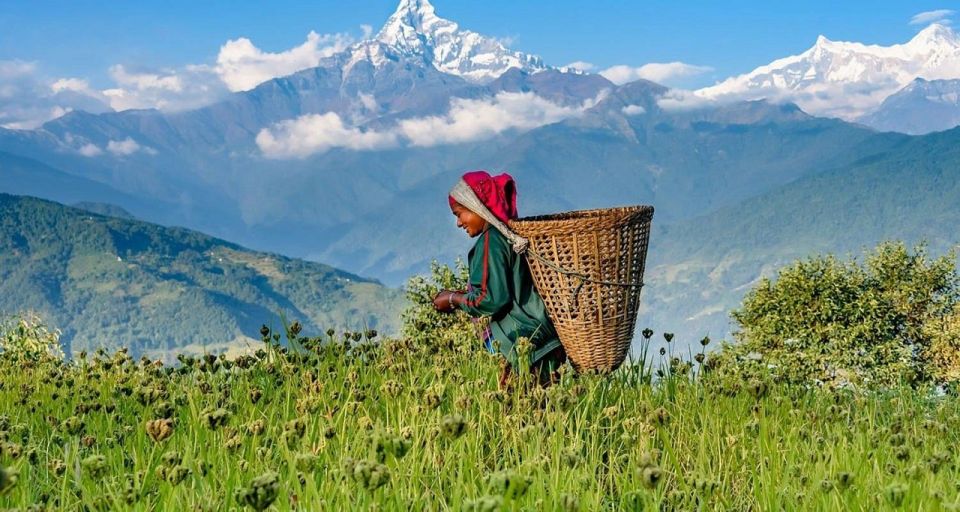 Australian Base Camp Hike for Sunrise Over the Himalayas - Trekking Experience