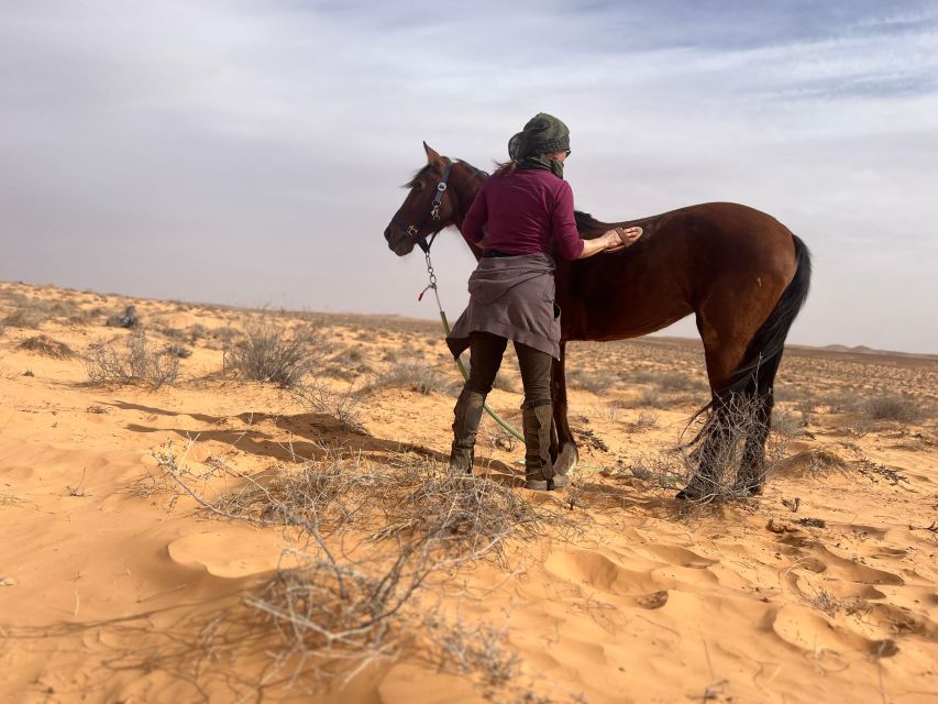 Authentic Tozeur on Horseback With Private Transfer - Reviews