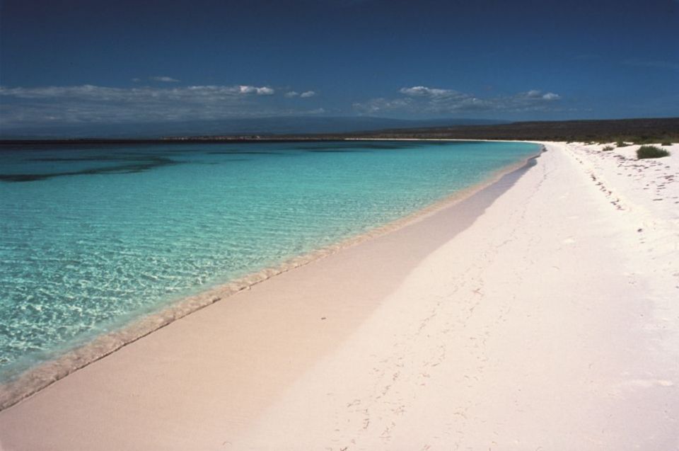 Bahía De Las Aguilas: Beach Day Trip by Boat - Local Cuisine Options