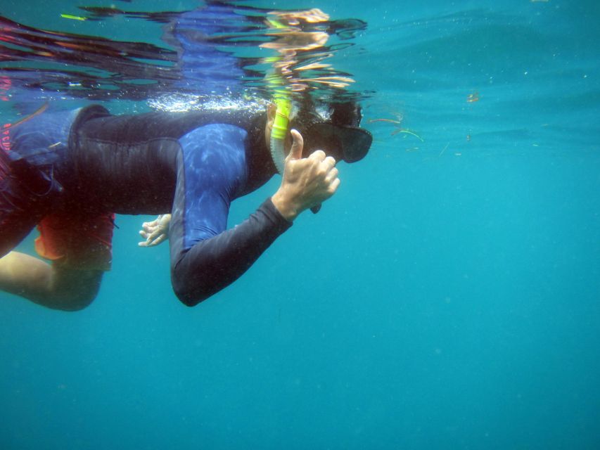 Bali: 1 Hour Snorkeling at Nusa Dua Beach - Small Group Limit