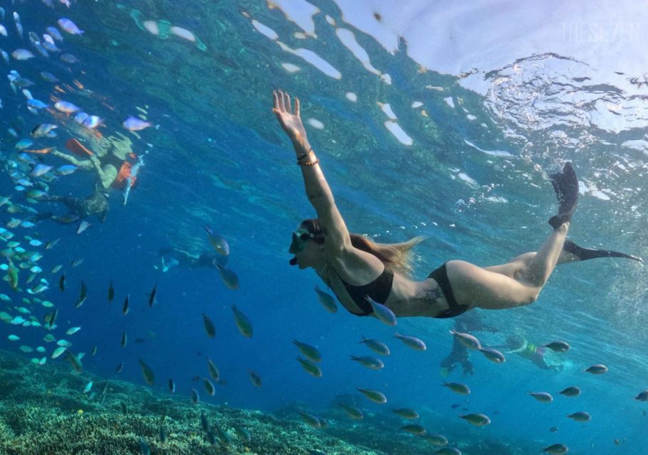 Bali: 3-Day Private Gili Islands Snorkel Tour & Hotel - Customer Reviews
