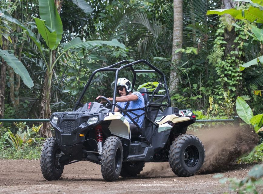 Bali: ATV Jungle Buggy Adventure - Experience Highlights