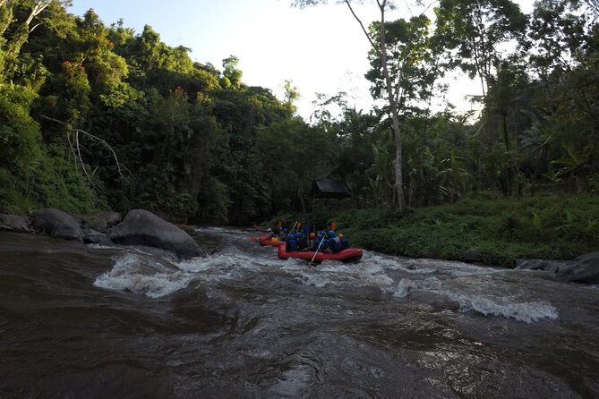 Bali Ayung River Small-Group Whitewater Rafting Tour (Mar ) - Contact Information and Support