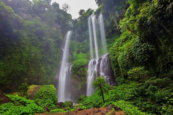 Bali Best Waterfalls Tour : Sekumpul and Banyumala - Customer Reviews