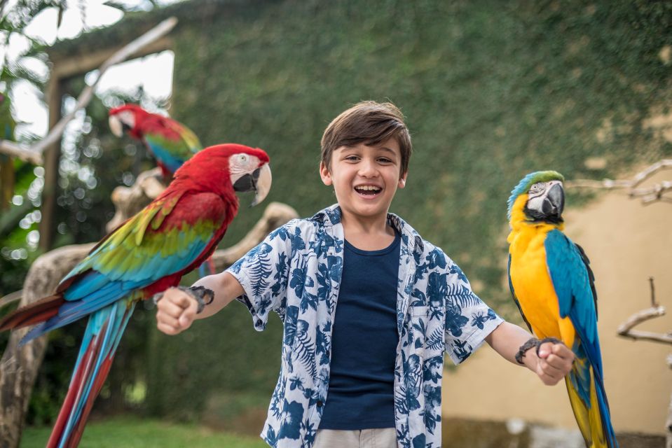 Bali Bird Park 1-Day Admission Ticket - Overall Ratings