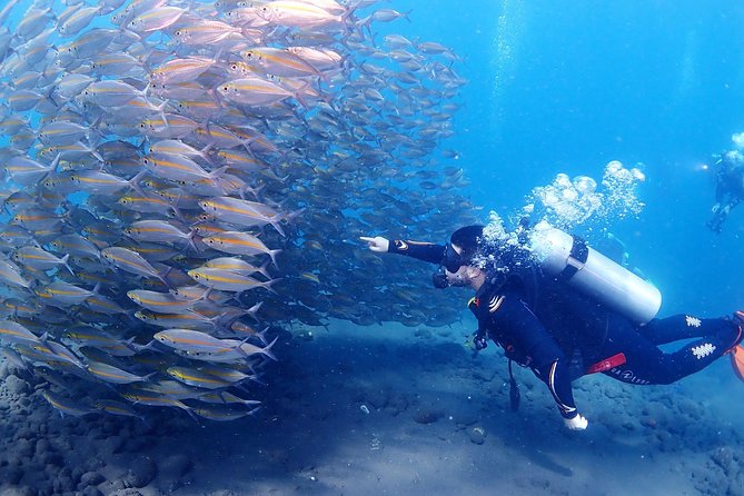 Bali Diving for Beginners: Tulamben Liberty Wreck - Cancellation Policy Details