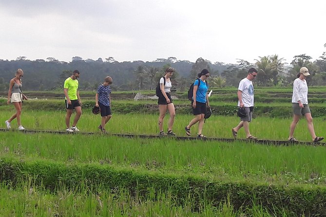 Bali Eco & Educational Cycling Tour - Common questions