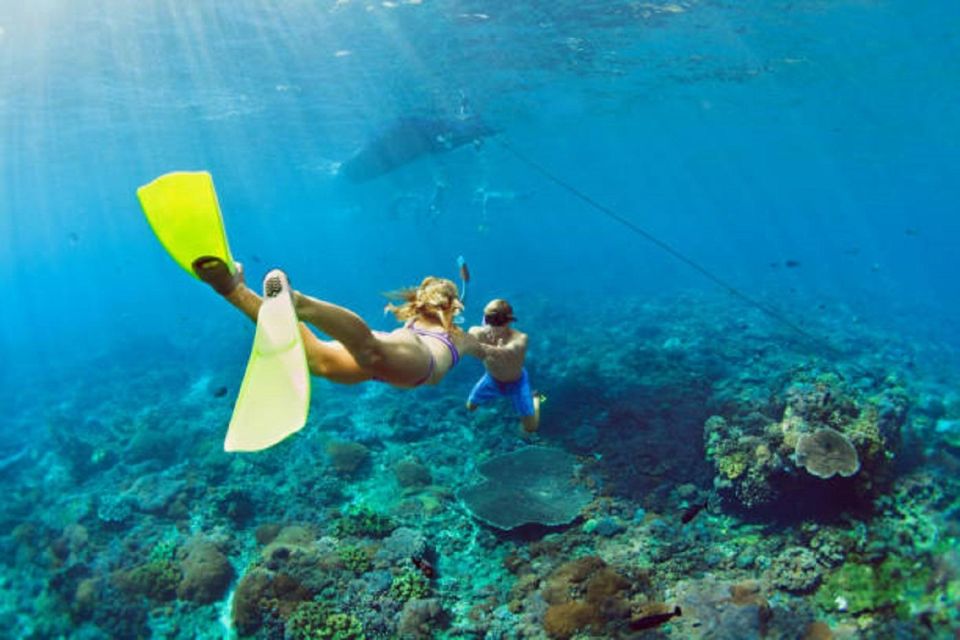 Bali : Full Packages Dive & Water Sports Activities - Booking Details