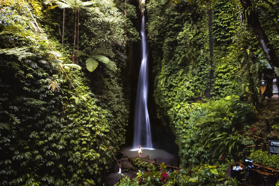 Bali: Leke-Leke Waterfall, Monkey Forest & Jungle Swing Tour - Tour Inclusions