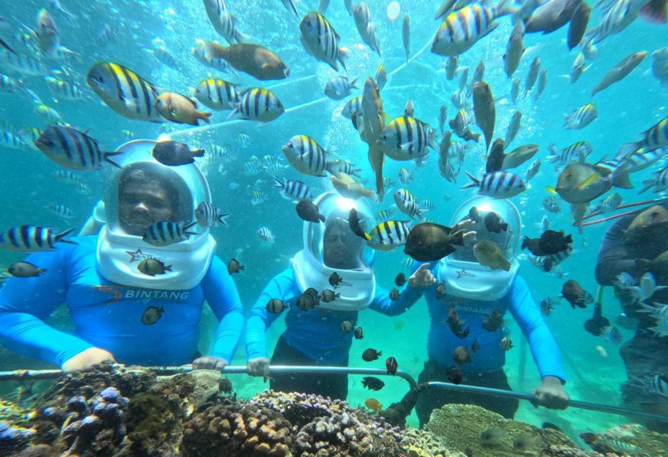 Bali Sea Walker Experience With Optional Sightseeing Tour - Activity Description