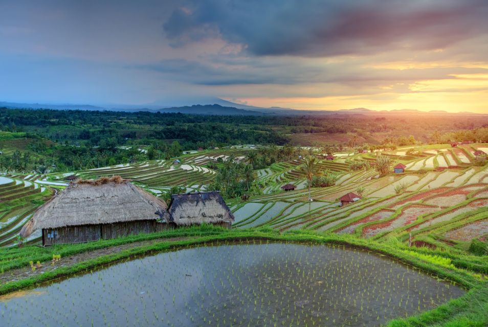 Bali: Water Temple, Waterfalls and Unesco Rice Terraces Tour - Customer Reviews