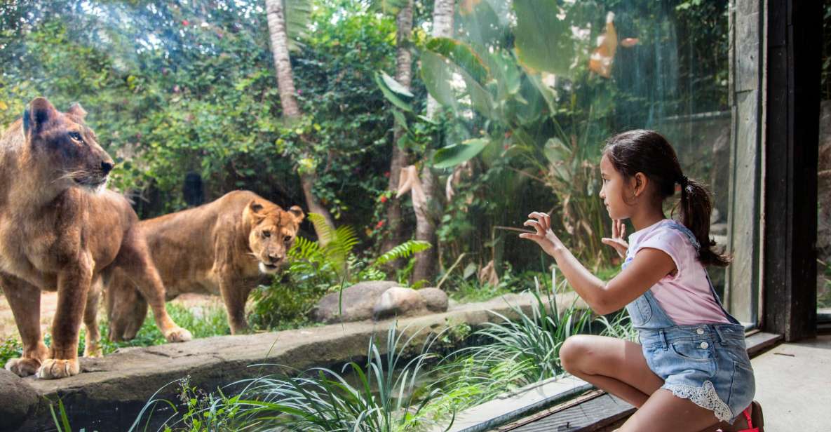 Bali Zoo Entrance Ticket - Customer Reviews