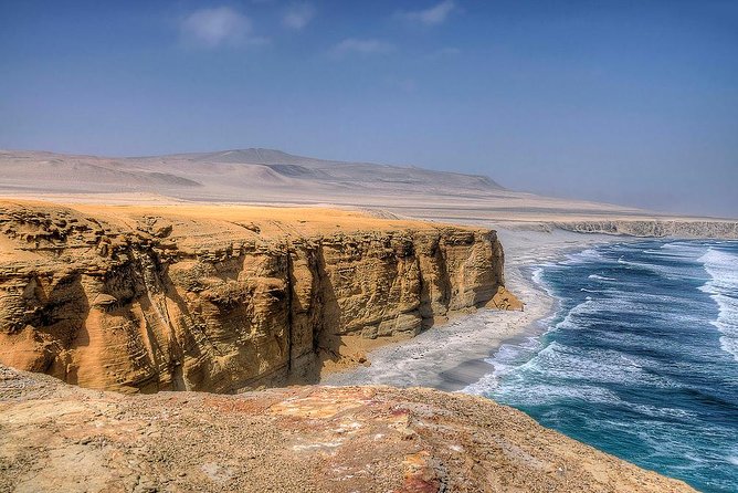 Ballestas Islands and Paracas Reserve From San Martin Port - Tour Highlights