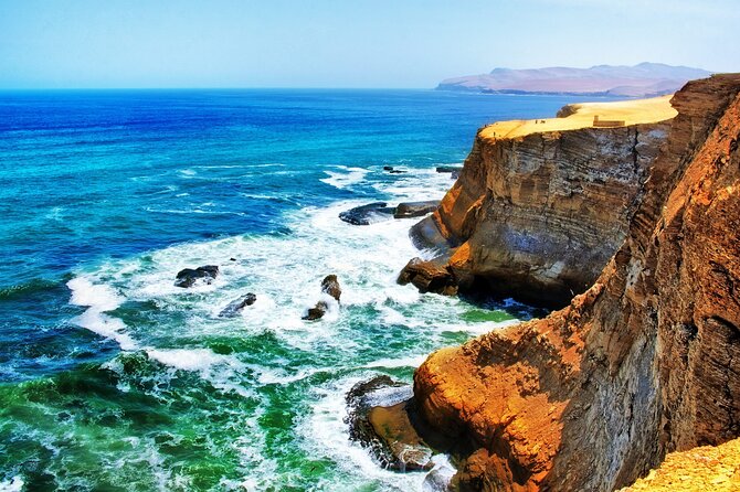 Ballestas Islands & National Reserve of Paracas From Ica - Traveler Experience and Reviews