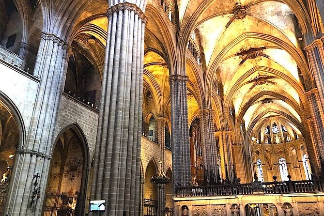 Barcelona in a Day Tour: Sagrada Familia, Park Guell & Old Town - Tour Guide Feedback and Highlights