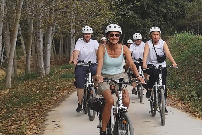 Barcelona: Wine E-Bike Half Daytour in Penedès - Gaudi Bike Tour With Ticket