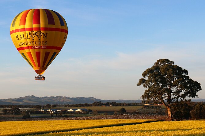 Barossa Valley Hot Air Balloon Ride With Breakfast - Parking and Meeting Point