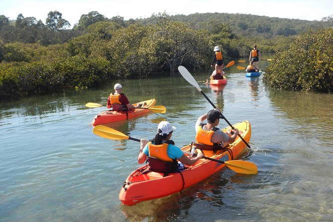 Batemans Bay Glass-Bottom Kayak Tour Over 2 Relaxing Hours - Last Words