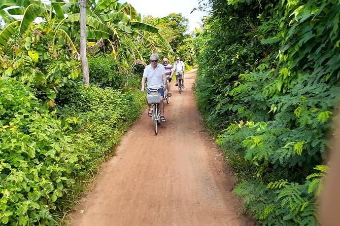 Battambang: Local Countryside & Temples Half-Day Cycling Tour - Reviews and Ratings