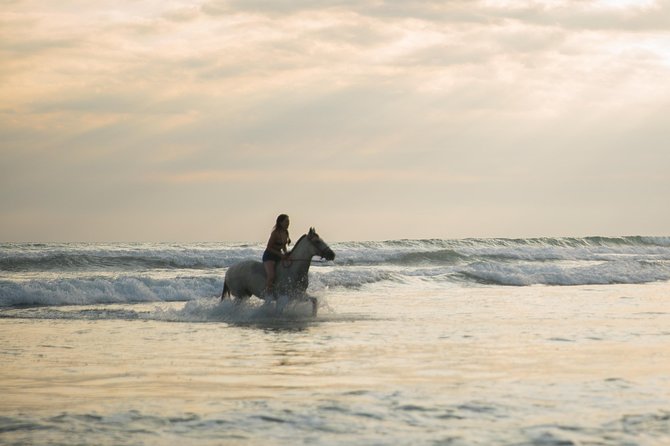 Beachfront Horseback Riding Tour From Quepos  - Jaco - Expectations