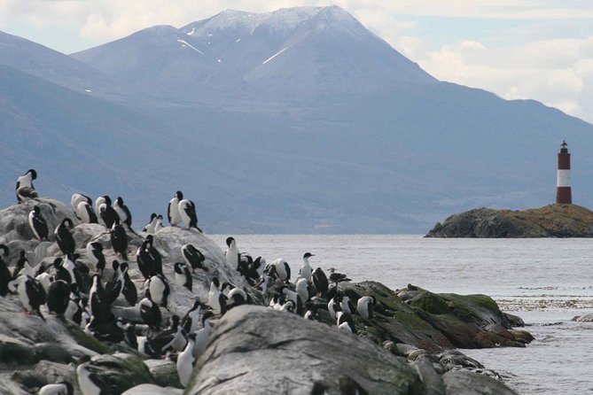 Beagle Channel Sailing Tour: Birds, Seals & Penguins Islands - Visitor Recommendations and Tips