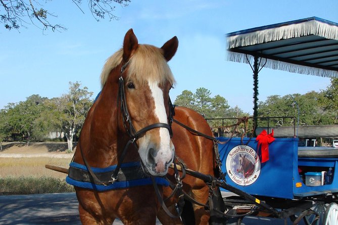 Beaufort Small-Group Historic Horse-Drawn Carriage Tour  - Hilton Head Island - Directions and Booking Details