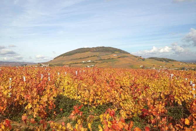 Beaujolais Crus Wines & Castles (9:00 Am - 1:30 Pm) - Small Group Tour From Lyon - Reviews Summary
