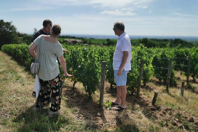 Beaujolais Wine Tasting Small-Group Half-Day Tour From Lyon - Last Words