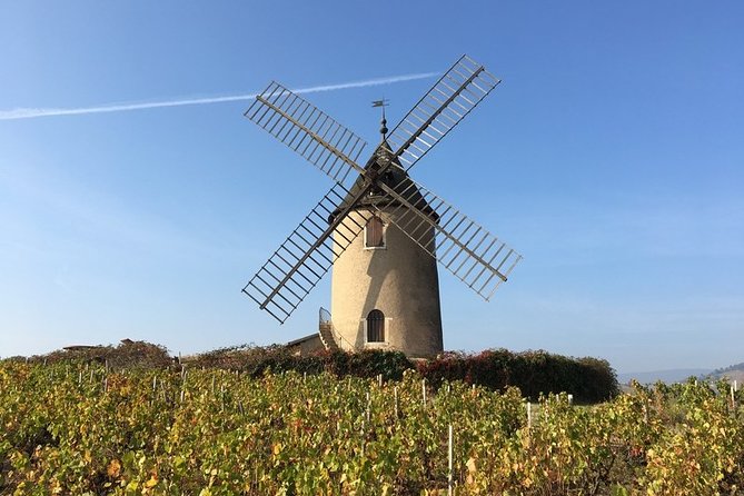 Beaujolais Wines & Castles - Private Tour - Half Day - Pricing Details