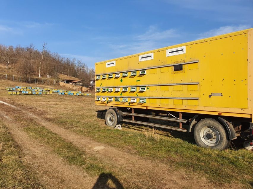 Bees in Romania - Private Beekeeping Lesson and Local Lunch - Harvesting Demonstrations and Hive Workings