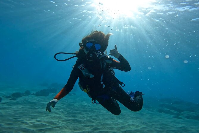 Beginner Scuba Experience With Free Video Package - Honolulu - Customer Support and Additional Resources