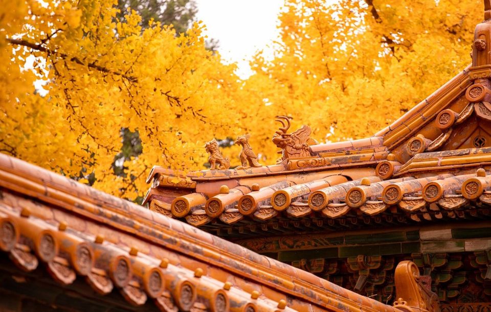 Beijing: Forbidden City With Summer Palace Highlights - Exploring the Summer Palace Grounds