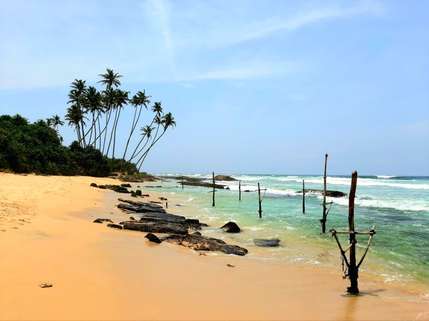 Bentota Beach, River Mangroves Lagoon, Wildlife Tour - Reviews