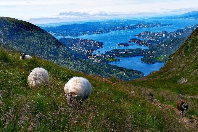 Bergen Classic Private Hiking - What to Bring Checklist