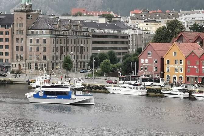 Bergen Fjord Cruise to Alversund Streams - All Year - Traveler Reviews and Ratings