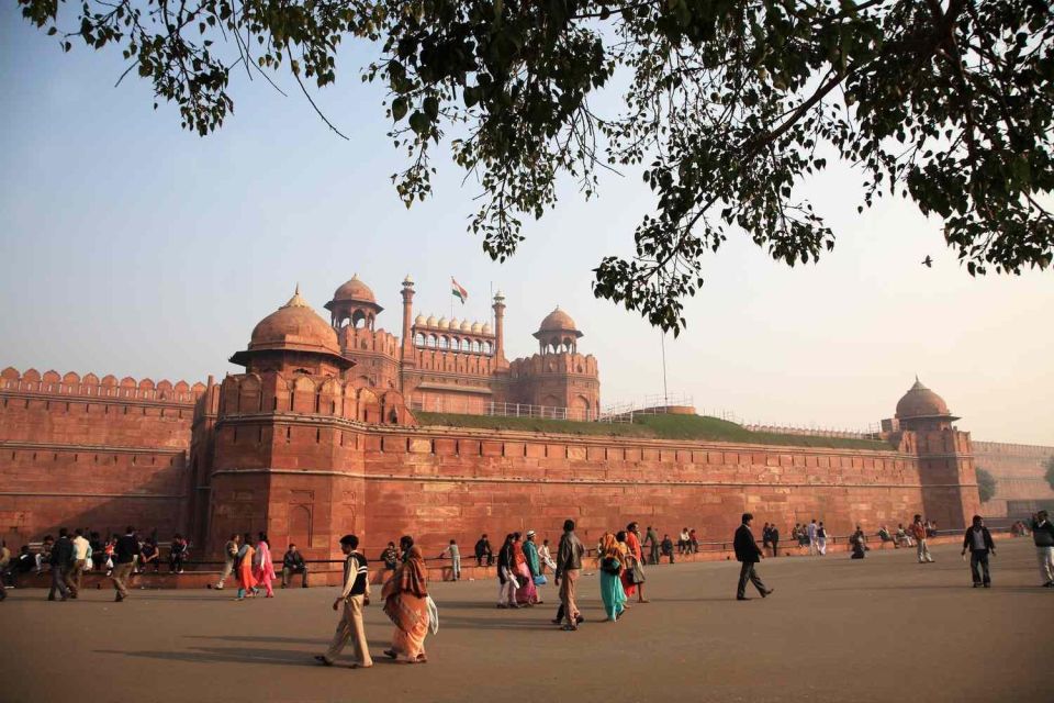 Best 4 to 8 Hour Old and New Delhi City Tour - All Inclusive - Customer Feedback and Booking Details