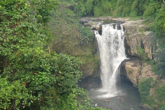 Best of Bali Jungle Swing With Ubud Sightseeing Tour - Insider Tips for the Tour