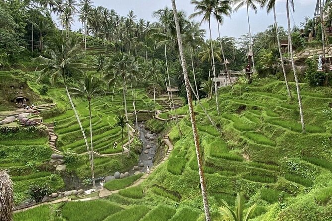 Best of Instagram Tour: Gate of Heaven, Tirta Gangga, Bali Swing - Photo Opportunities