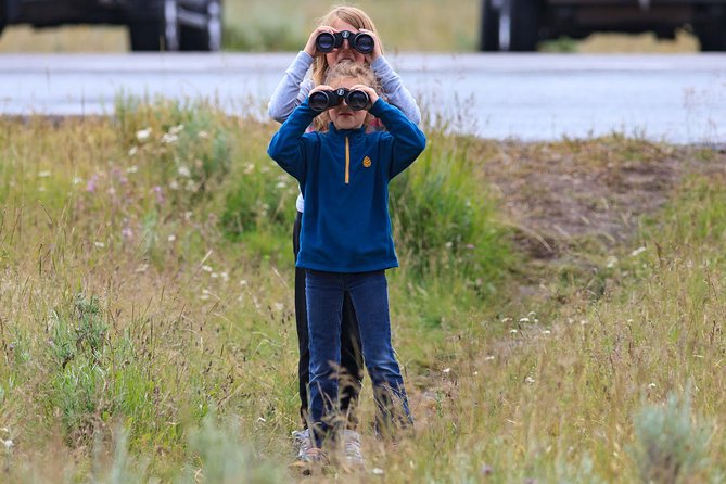 Best of Yellowstone - Guided National Park Safari Tour - Weather-Dependent Itineraries