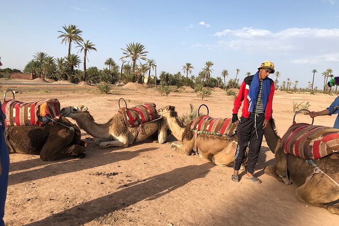 Best Sunset Camel Ride With Tea Break in Palm Grove of Marrakech - Common questions