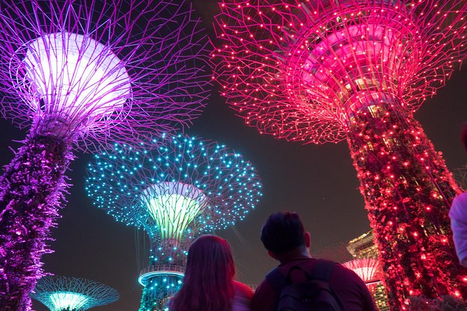 Big Bus Singapore Night Tour With Gardens by the Bay Light Show - Night Tour Experience