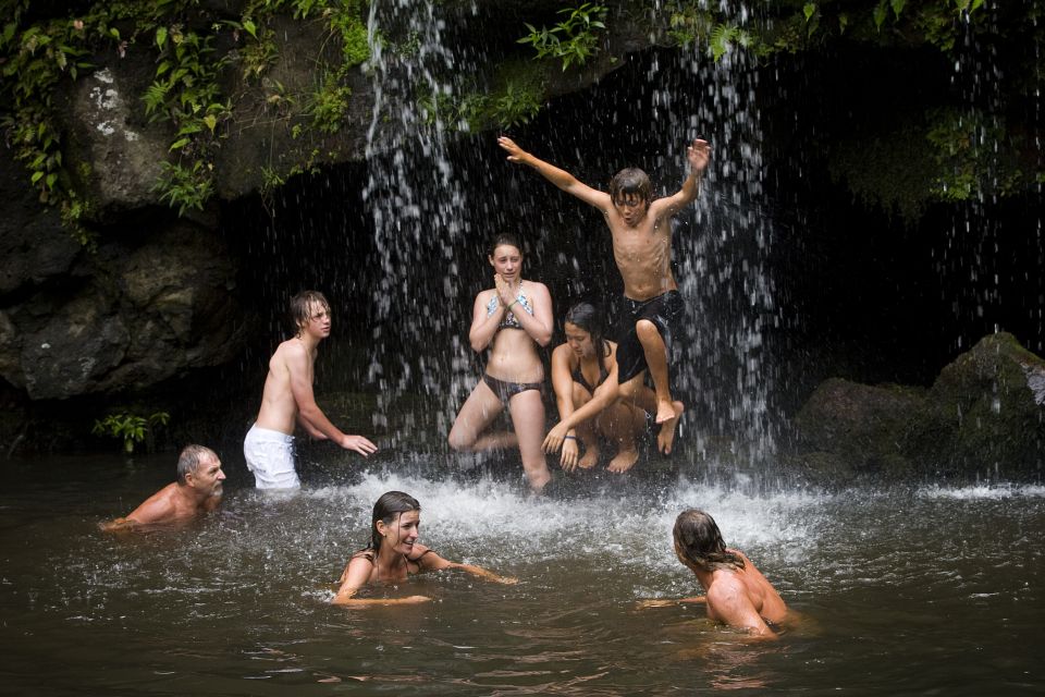 Big Island: Full Day Adventure Tour of the Kohala Waterfalls - Review Summary