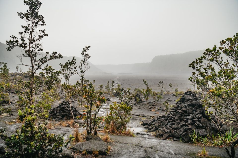 Big Island: Nature's Haven: Volcano Hike in National Park! - Location Details