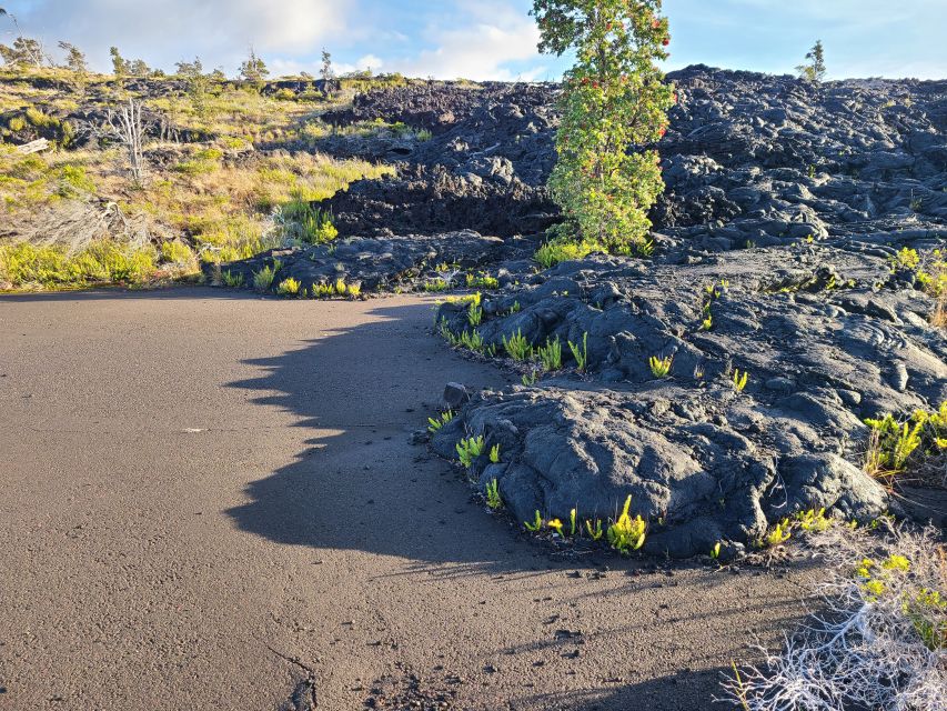 Big Island: Private Volcano Tour - Volcanoes Nat'l Park - Guide Profile and Experience