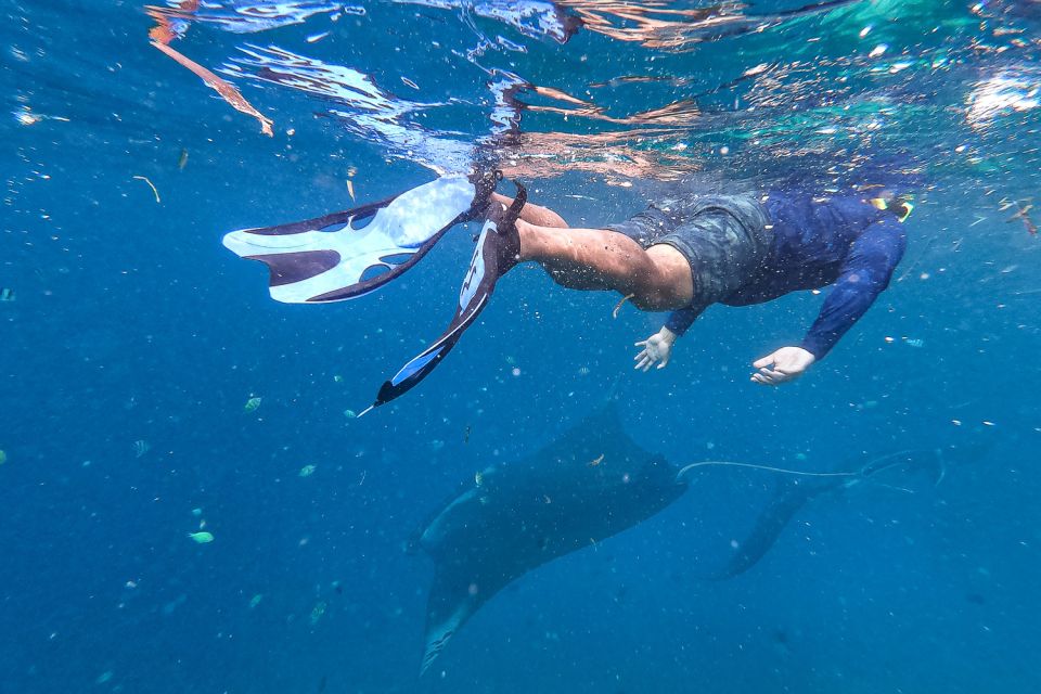 Big Island: Snorkel With Manta Rays - Manta Guarantee - Manta Rays Encounter