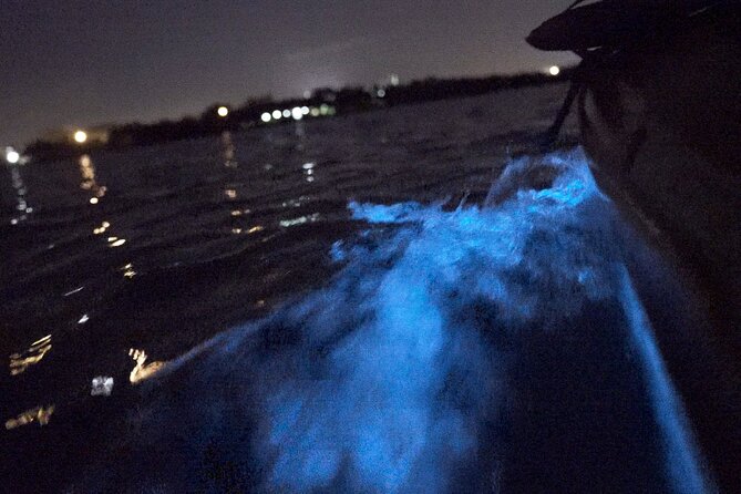 Bioluminescence Kayak Tour - Customer Experiences and Reviews