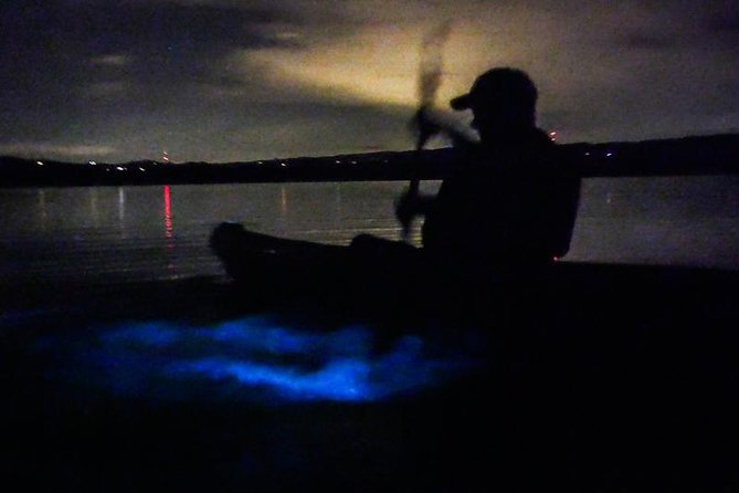 Bioluminescence Night Kayaking Tour of Merritt Island Wildlife Refuge - Meeting Point Details